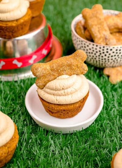 A dog cupcake on a plate on green grass.