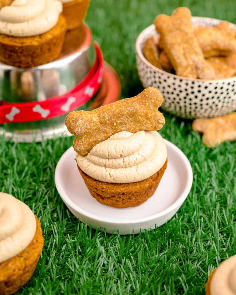 A dog cupcake on a plate on green grass.