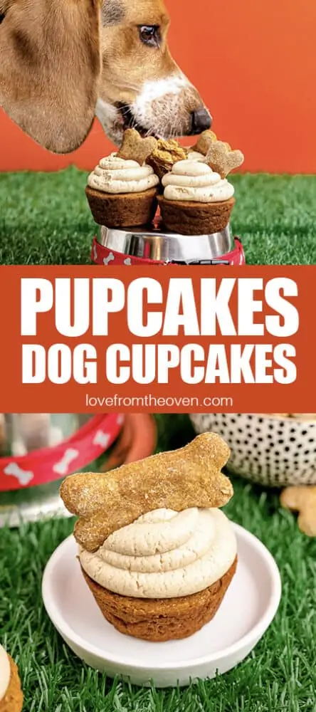 A dog eating pupcake dog cupcakes on grass with a green background.