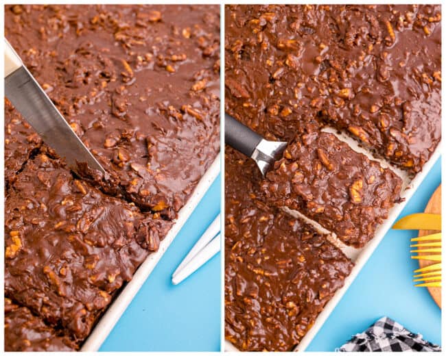 Photos of a chocolate cake being served.