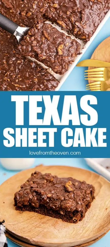Photos of Texas Sheet Cake.