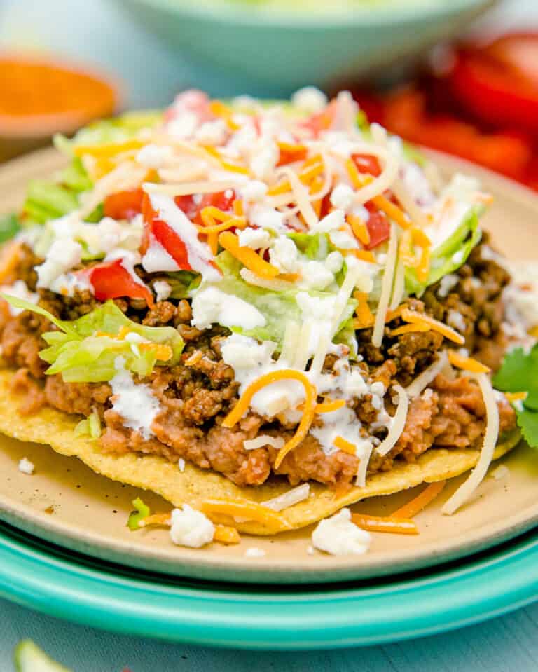 A close up of a tostada.