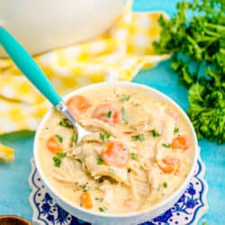 a bowl of chicken and dumplings with tortillas