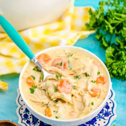 a bowl of chicken and dumplings with tortillas