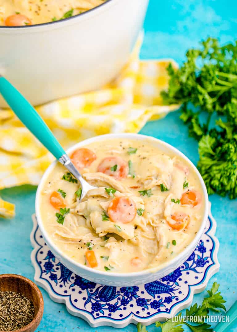 a bowl of chicken and dumplings with tortillas