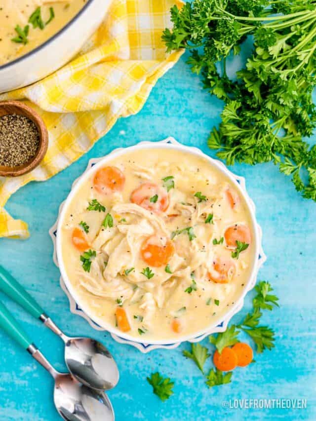 bowl of chicken dumplings with tortillas