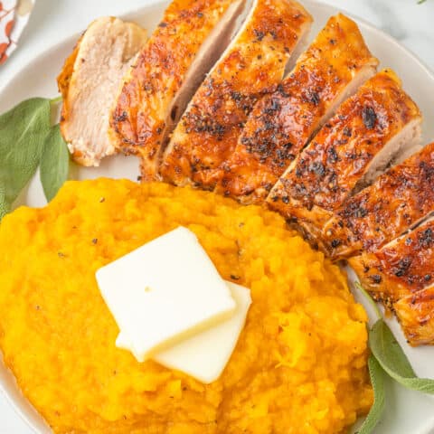 A plate of mashed butternut squash and turkey.