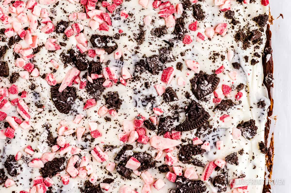 Peppermint bark that has not been cut.