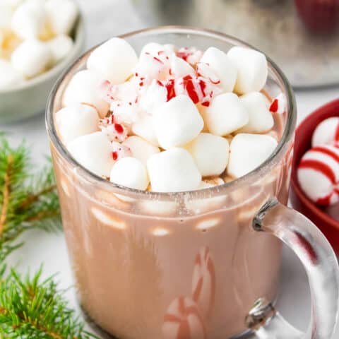 A glass mug full of peppermint hot chocolate