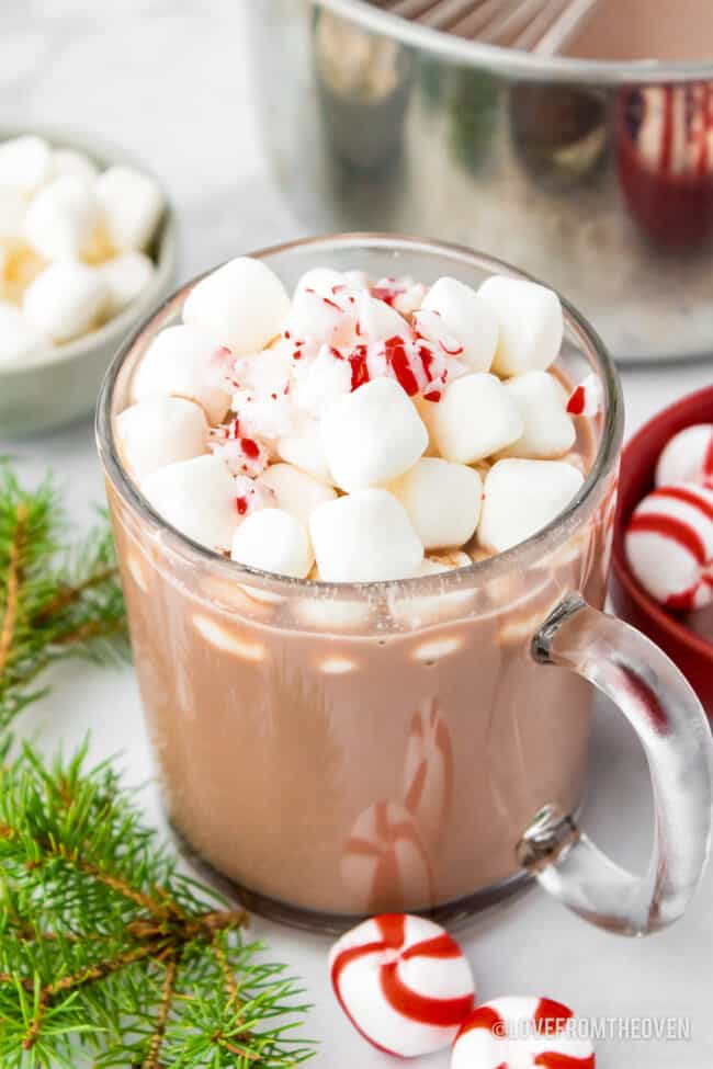 A glass mug full of peppermint hot chocolate