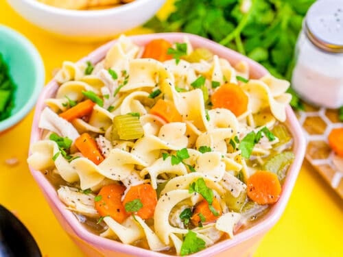Instant Pot Chicken Noodle Soup • Salt & Lavender