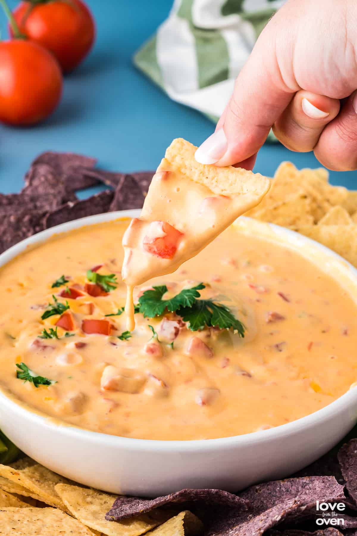 A chip being dipped into a bowl of Rotel cheese dip.