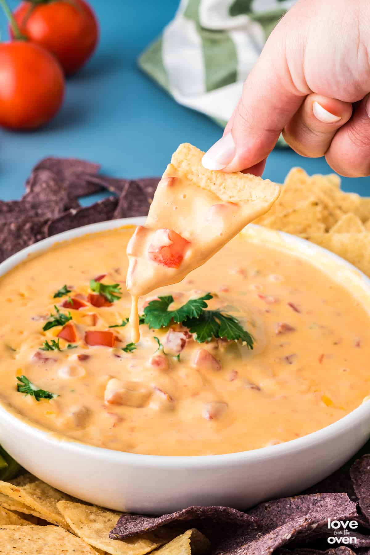 Easy Crockpot Velveeta Rotel Cheese Dip