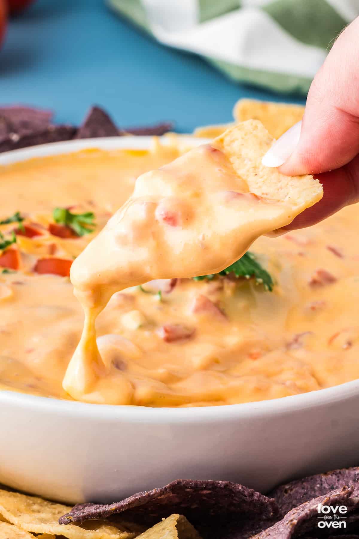 A chip covered in velveeta rotel dip cheese.