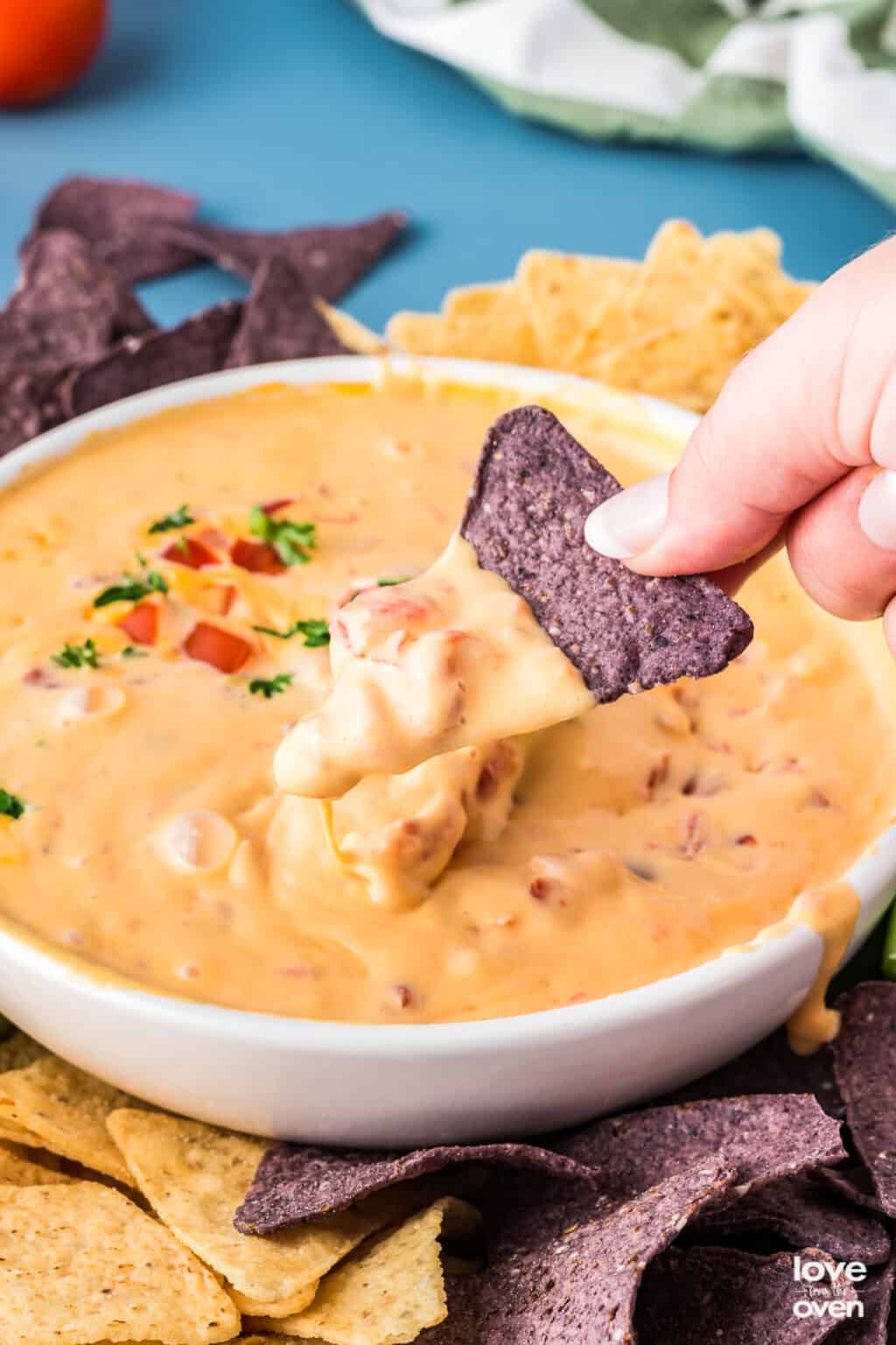 Velveeta Rotel Dip (Easy Queso) Love From The Oven
