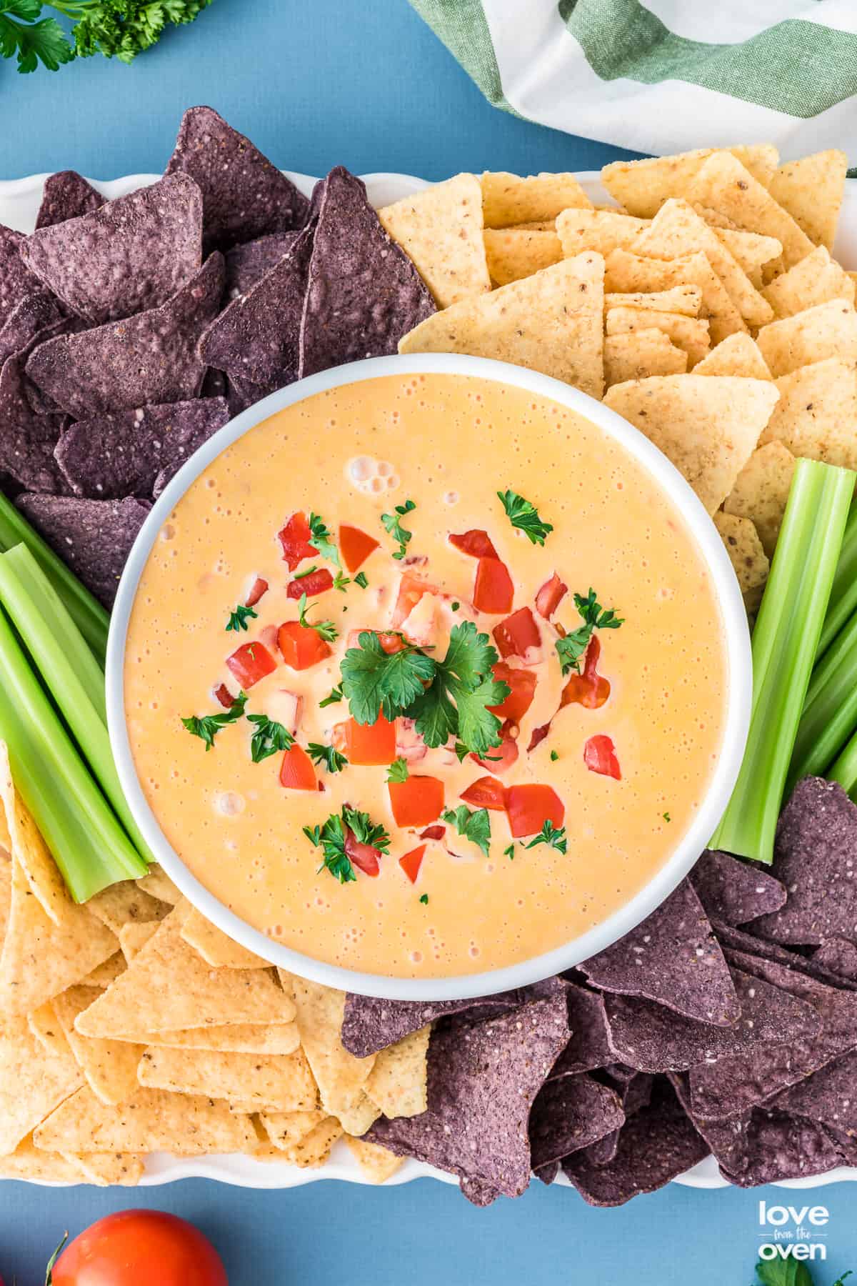 A bowl of Velveeta rotel dip surrounded by tortilla chips and celery.