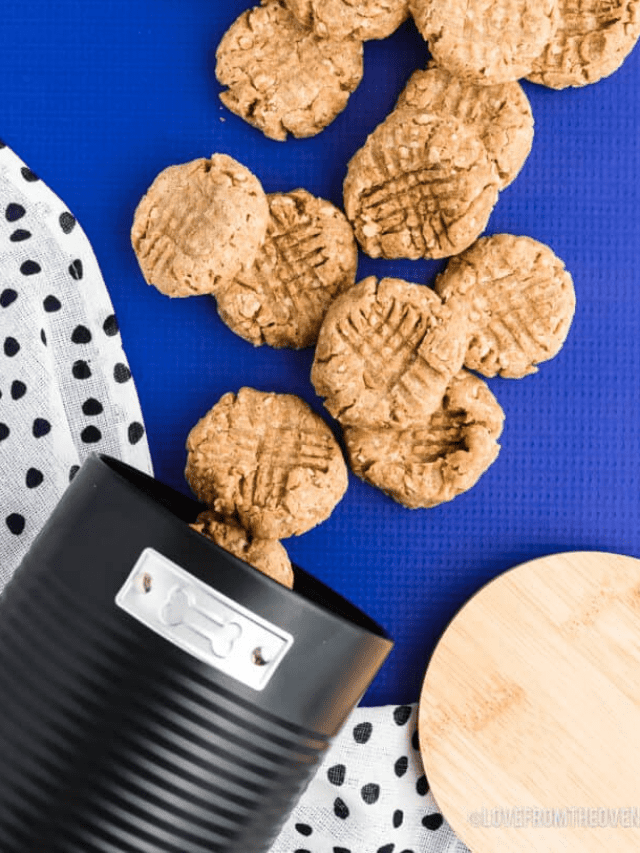 Dog Cookie Recipe Story