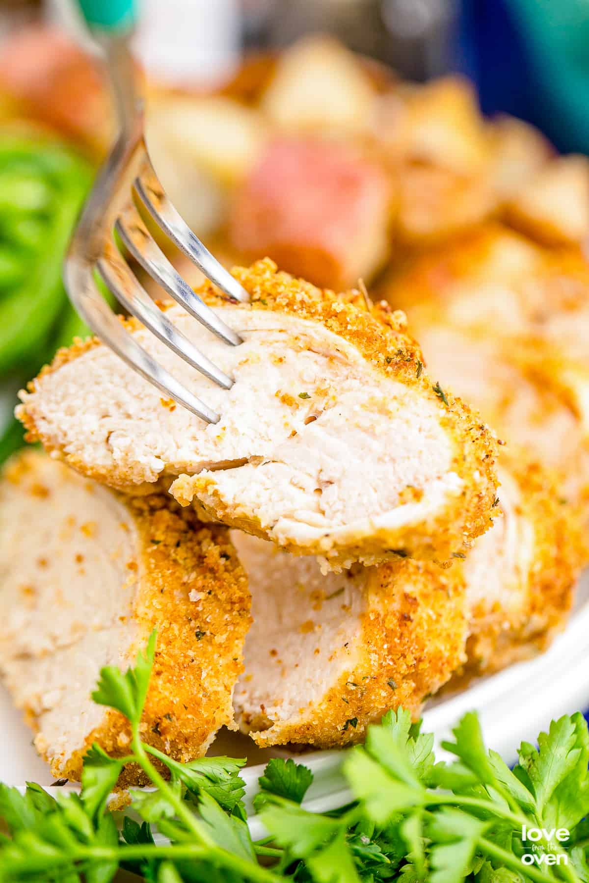 Shake and Bake Chicken Recipe - Easy Chicken Recipes