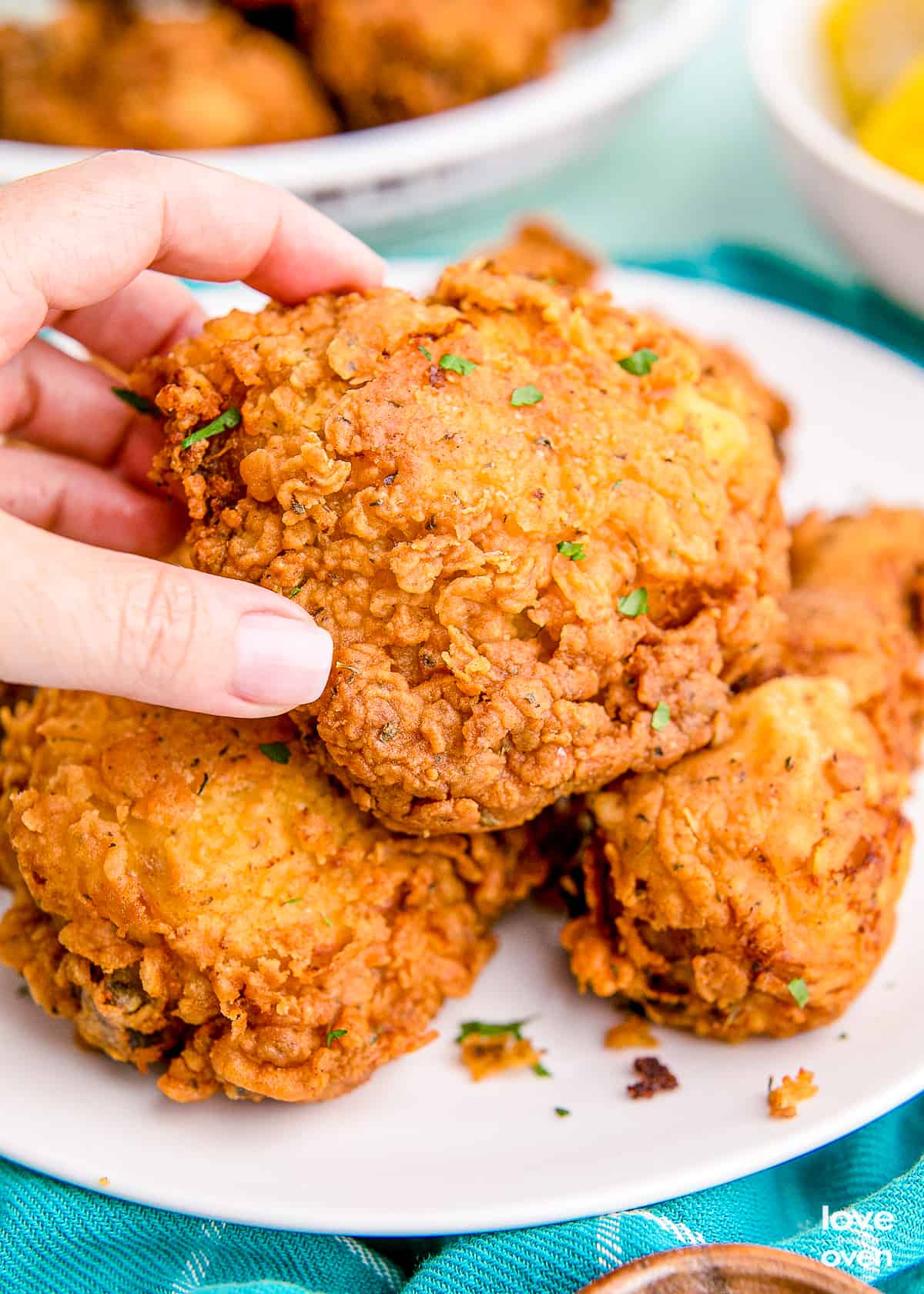 How to Fry: Make Crispy, Golden Brown, Delicious Fried Foods