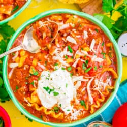 A bowl of lasagna soup.