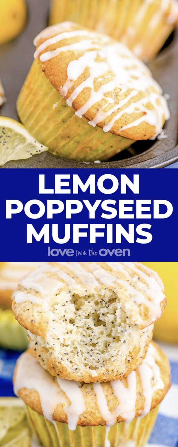 Lemon Poppy Seed Muffins • Love From The Oven