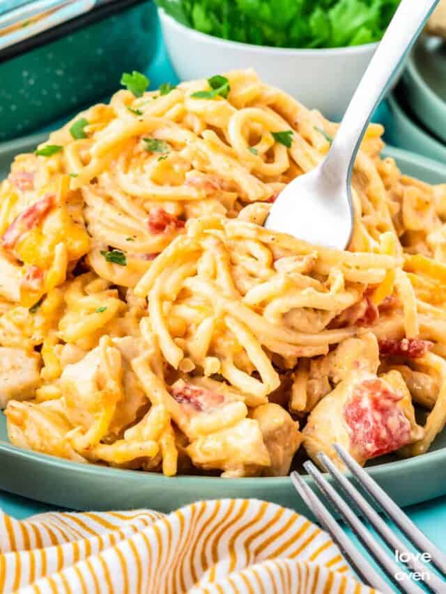 Chicken Spaghetti With Rotel Story