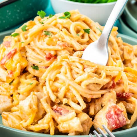 A plate of rotel chicken spaghetti, with a fork scooping some up.