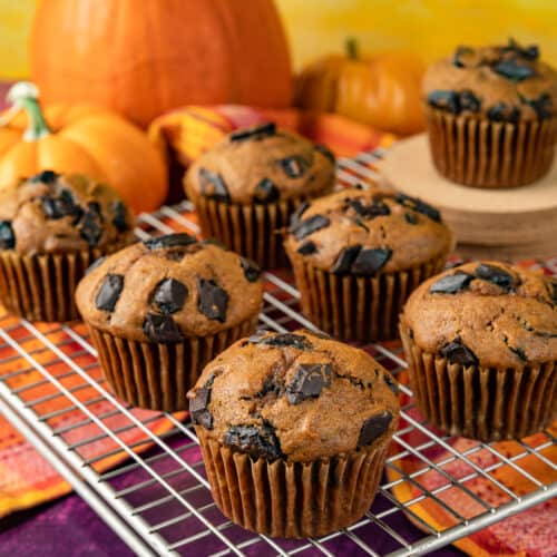 Chocolate Chip Pumpkin Muffins • Love From The Oven