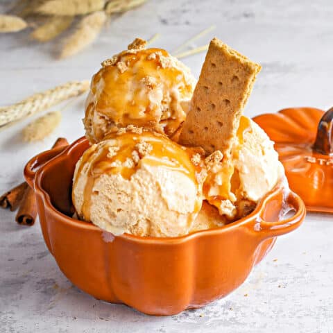 Pumpkin pie ice cream in a pumpkin shaped bowl.