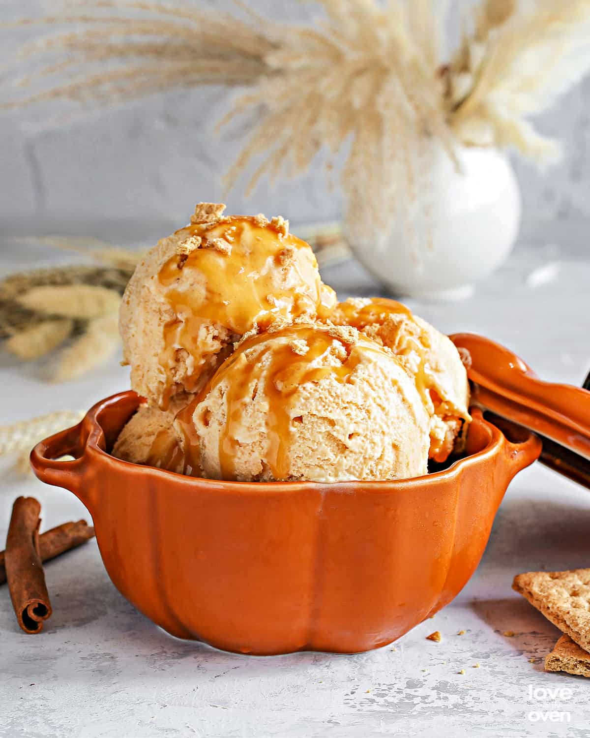 Pumpkin Ice Cream – A Couple Cooks