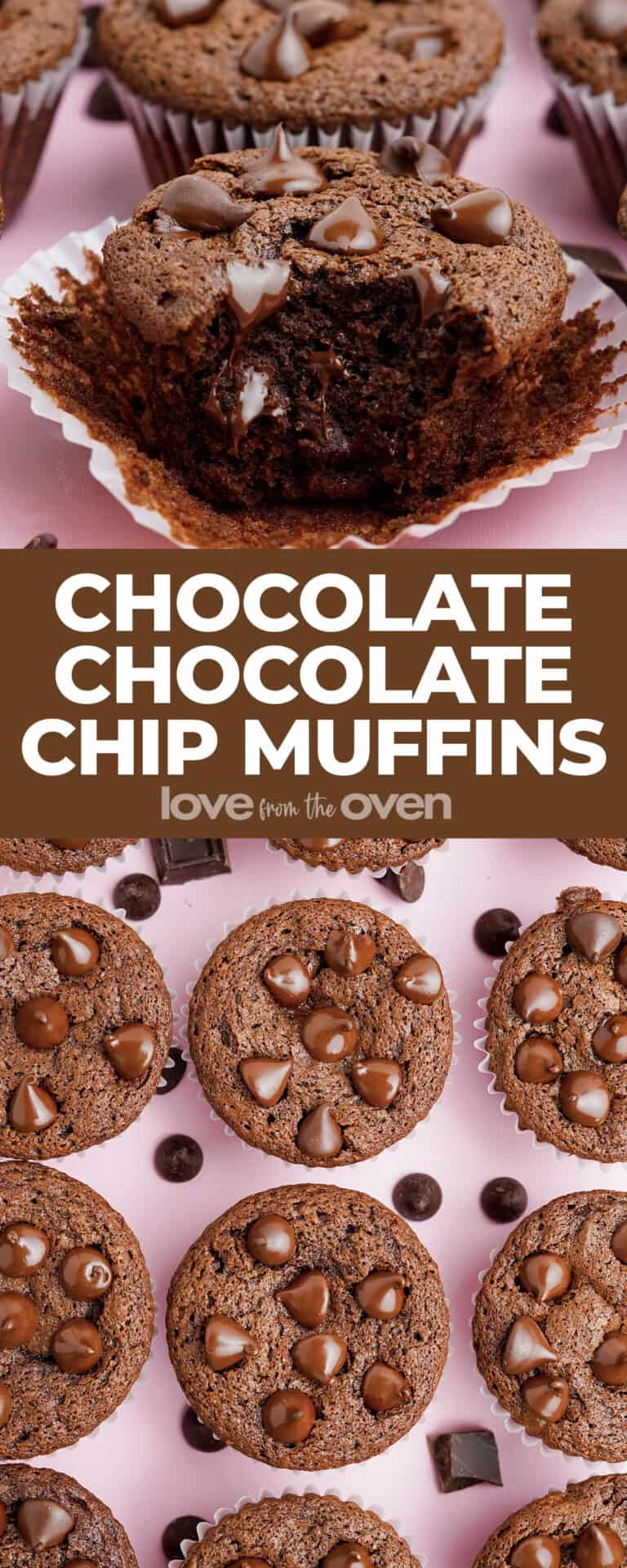 Chocolate Chocolate Chip Muffins • Love From The Oven