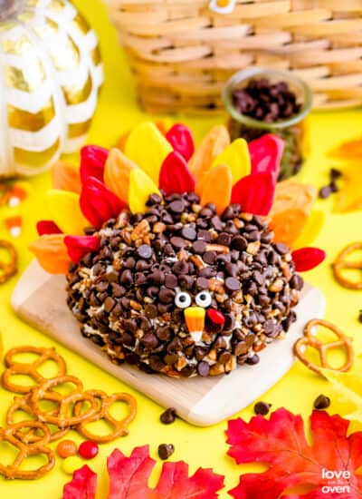 A cheese ball that looks like a turkey with a colorful background.
