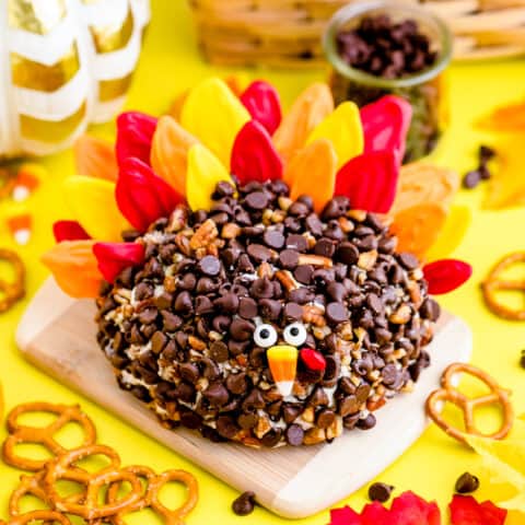 A cheese ball that looks like a turkey with a colorful background.