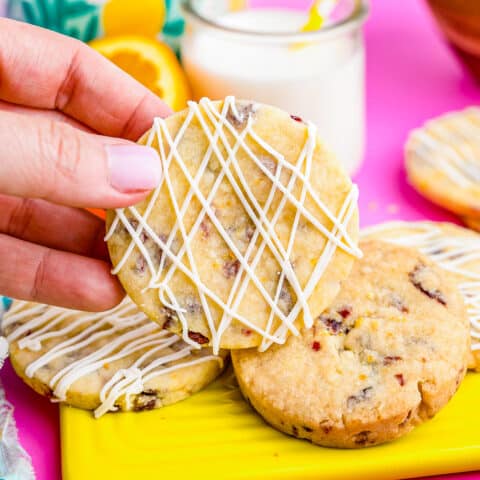 A hand holding an orange cranberry cookie.