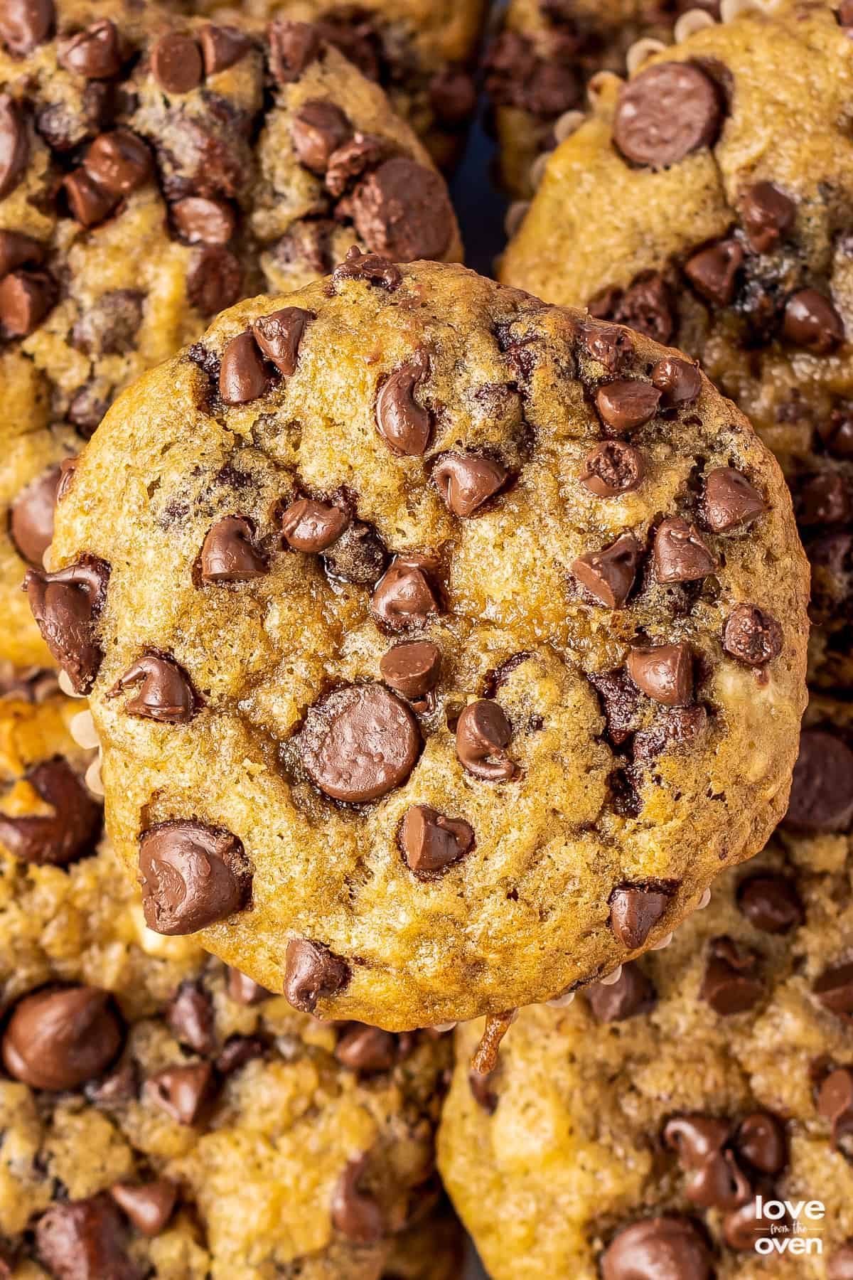 A close up of a banana chocolate chip muffins