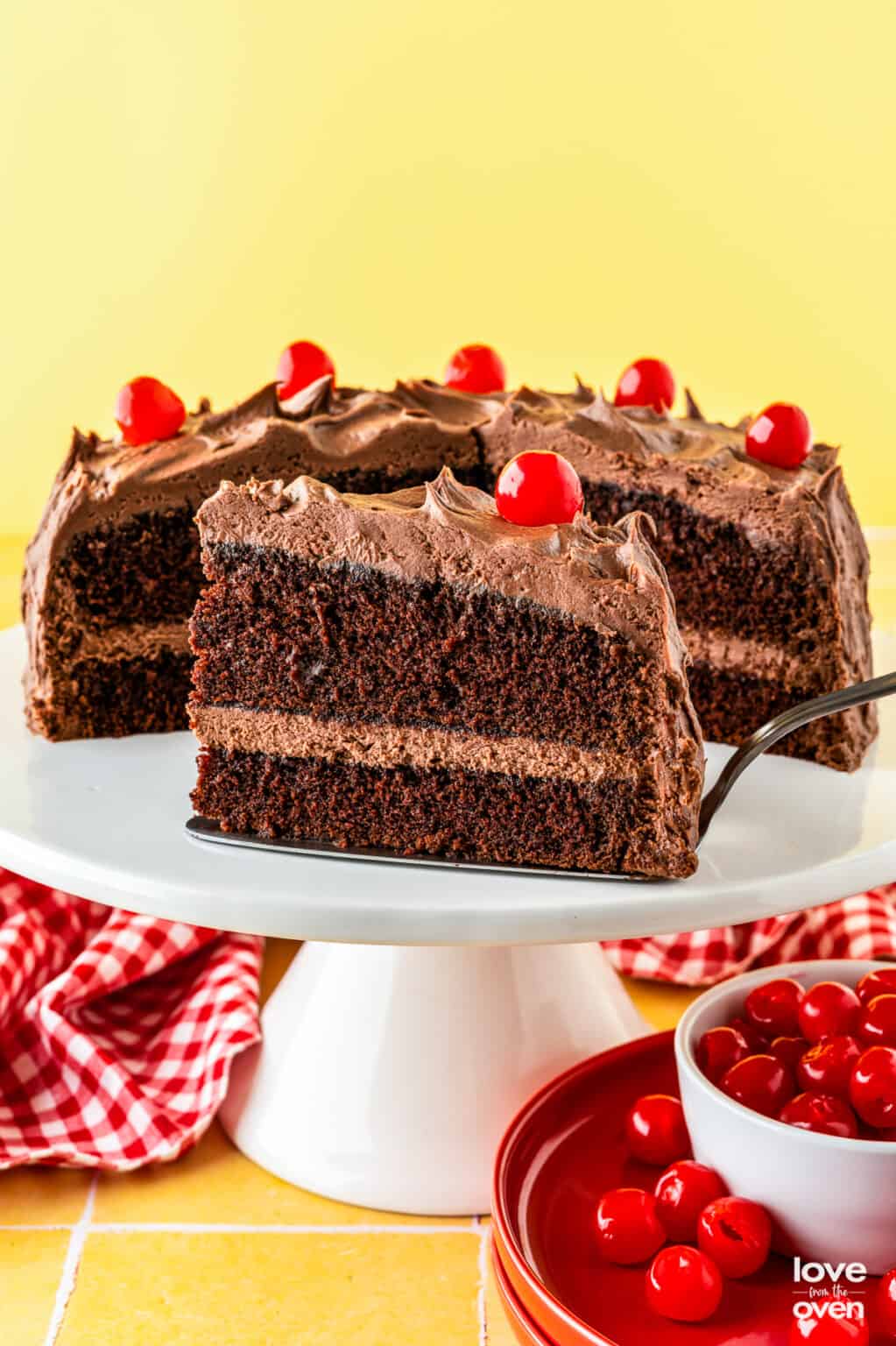Chocolate Mayonnaise Cake • Love From The Oven