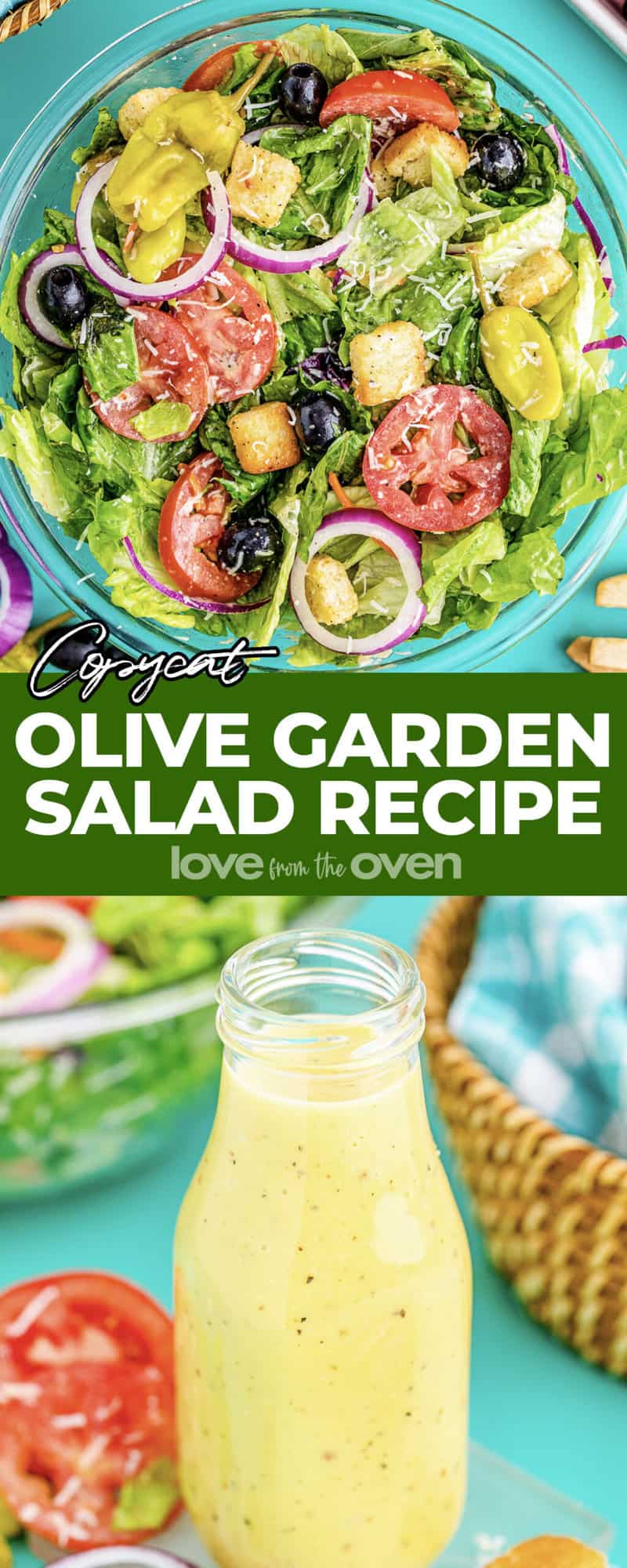 Copycat Olive Garden Salad Dressing Recipe - Family Fresh Meals