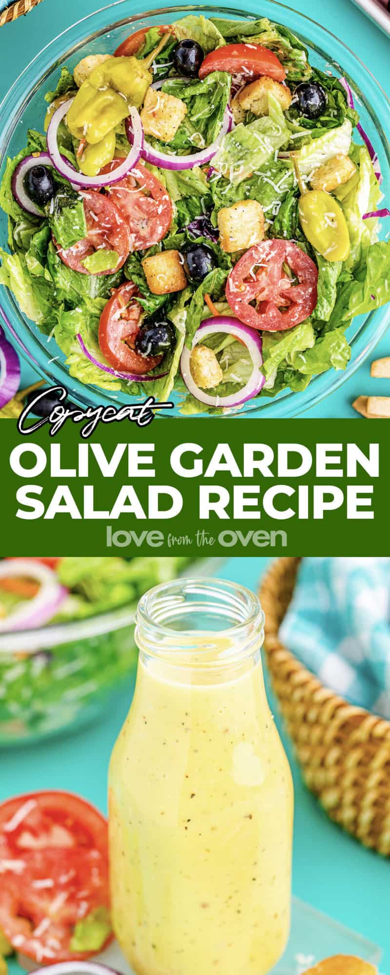 Olive Garden Salad Dressing (Copycat Recipe) - Little Sunny Kitchen