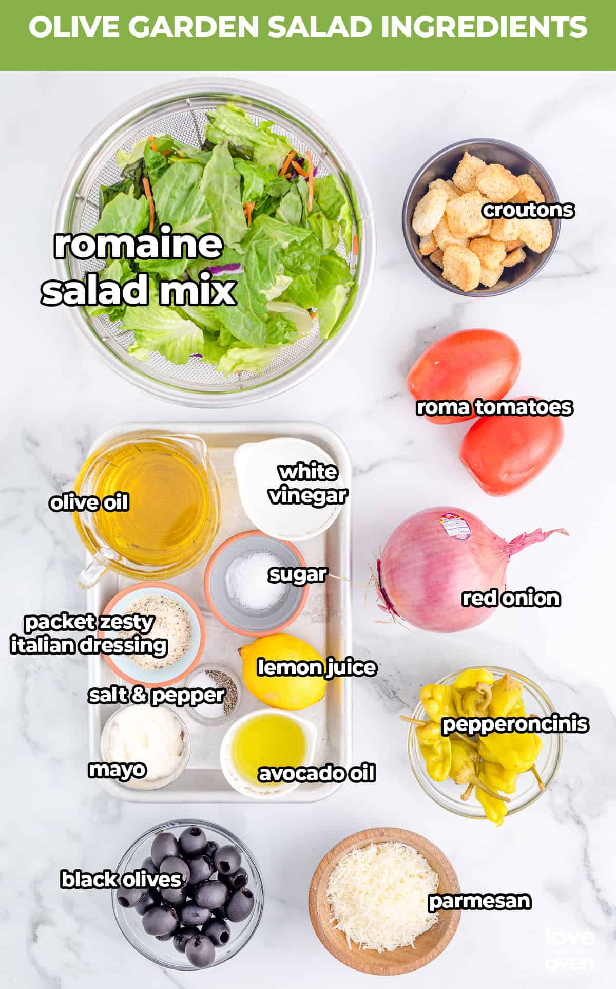 CopyCat Olive Garden Salad Dressing Recipe - CincyShopper