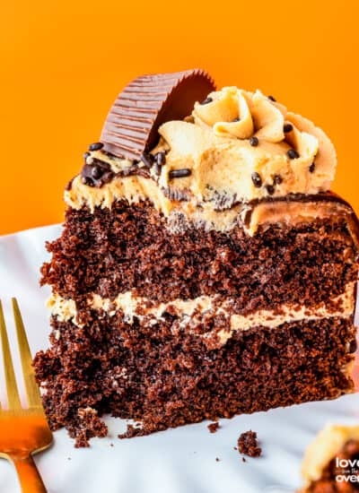 A slice of chocolate peanut butter cake.