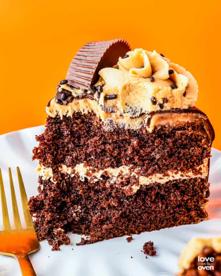A slice of chocolate peanut butter cake.