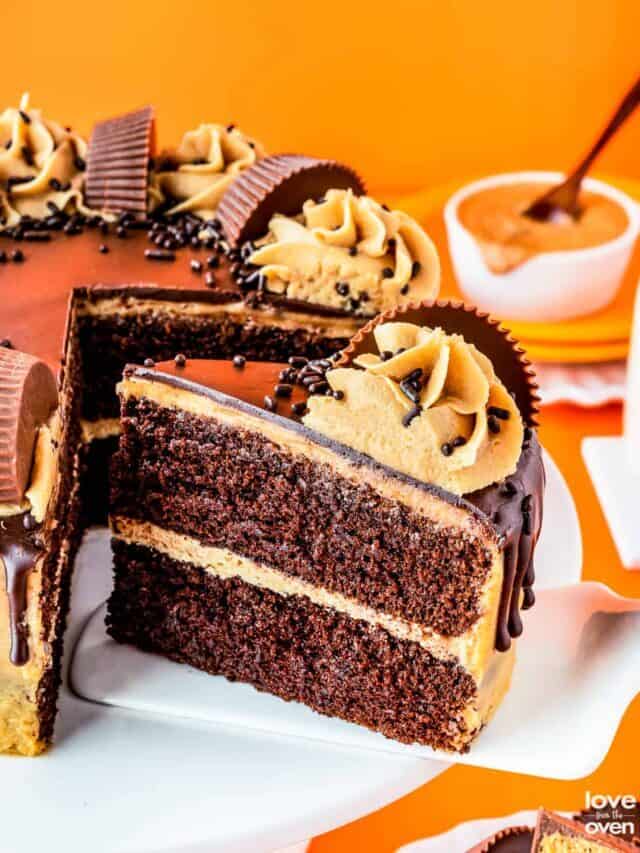 Chocolate Peanut Butter Cake Story