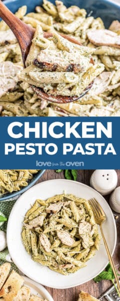 Creamy Chicken Pesto Pasta • Love From The Oven