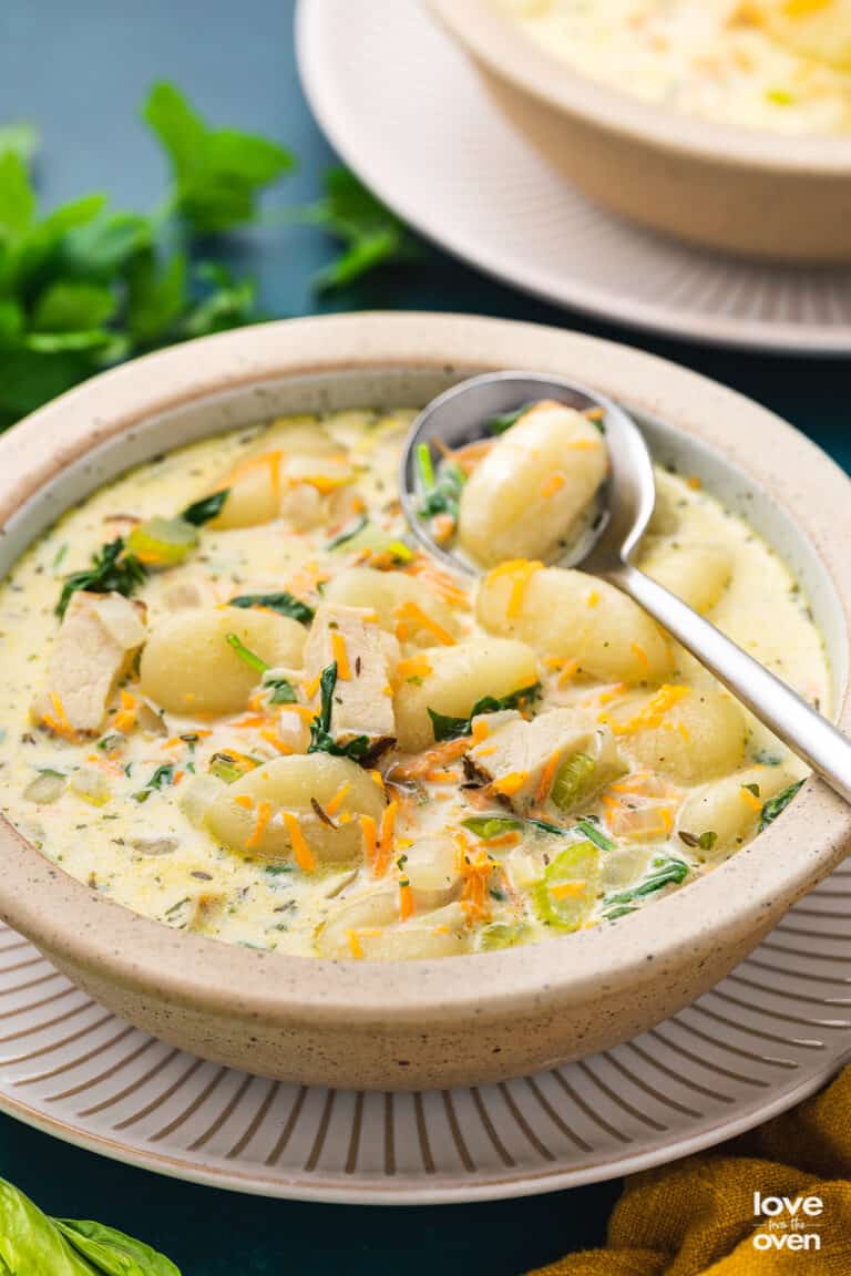 Chicken Gnocchi Soup