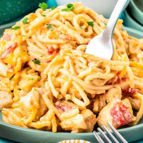 Pasta recipes
